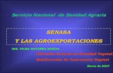 SENASA Y LAS AGROEXPORTACIONES - prompex.gob.pe