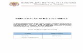 PROCESO CAS Nº 05-2021-MDLV