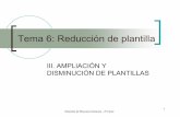 Tema 6: Reducción de plantilla