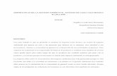 IMPORTANCIA DE LA GESTIÓN AMBIENTAL, ESTUDIO DE CASO …