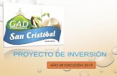 PROYECTO DE INVERSIÓN - Gob