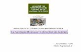 355a Molecular y Control de Calidad) - Universidad de Granada