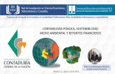 CONTABILIDAD PÚBLICA, SOSTENIBILIDAD MEDIO AMBIENTAL Y ...
