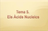 1.4. Els àcids nucleics