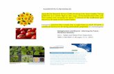 Curso alimentos funcionales 3 - fanus.com.ar