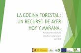 LA COCINA FORESTAL: UN RECURSO DE AYER HOY Y MAÑANA.