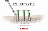 PHOENIX - MBA