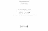 Interior Libro Bluets - El Boomeran