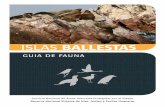 ISLAS BALLESTAS - Servicio Nacional de Áreas Naturales ...