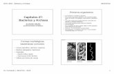Capítulos 27: Bacterias y Archaea