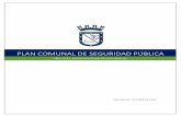 PLAN COMUNAL DE SEGURIDAD PÚBLICA - San Miguel