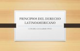 PRINCIPIOS DE DERECHO LATINOAMERICANO