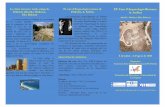 El curs d’Arqueologia romana de XV Curs d’Arqueologia ...