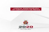 JUSTICIA ESPECIALIZADA EN EJECUCIÓN DE PENAS