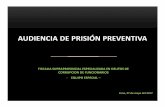 AUDIENCIA DE PRISIÓN PREVENTIVA - fiscalia.gob.pe