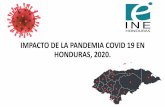 IMPACTO DE LA PANDEMIA COVID 19 EN HONDURAS, 2020.