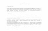 CAPÍTULO V ESTRATEGIA PUEBLA 5.1 Introducción