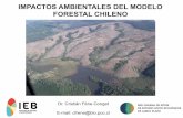 IMPACTOS AMBIENTALES DEL MODELO FORESTAL CHILENO