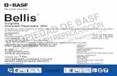 Bellis 1K BASF - SEP2018