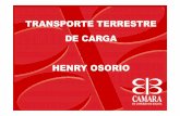 TRANSPORTE TERRESTRE DE CARGA HENRY OSORIO