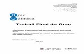 Treball Final de Grau - Universitat de Barcelona
