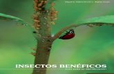 Insectos Bené - CIAO