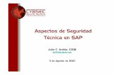 Aspectos de Seguridad Técnica en SAP