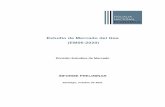 Estudio de Mercado del Gas (EM06-2020)