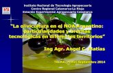 “La olivicultura en el NOA Argentino ... - Página de inicio