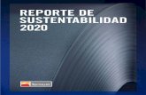 Reporte de Sustentabilidad TX 2020