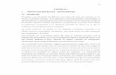 CAPÍTULO I 1. OBJETO DEL PROYECTO - ANTECEDENTES 1.1 ...
