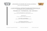 TRABAJO TERMINAL DE GRADO - RI UAEMex