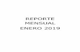 REPORTE MENSUAL ENERO 2019 - altamira.gob.mx