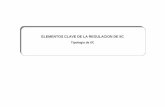 ELEMENTOS CLAVE DE LA REGULACION DE IIC