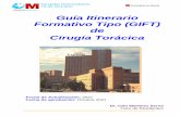 Guía Itinerario Formativo Tipo Cirugía Torácica