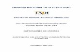 EMPRESA NACIONAL DE ELECTRICIDAD - ENDE