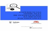 EXPERIENCIAS SINDICALES DE INTERVENCIÓN EN RIESGOS ...