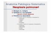 Anatomia Patologica Sistematica