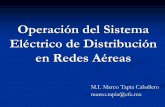 Operación del Sistema Eléctrico de Distribución en Redes ...