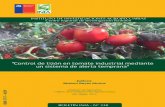 “Control de tizón en tomate industrial mediante un sistema ...