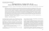 Diagnóstico molecular de la Distrofia Miotónica (DM) en ...