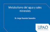 Metabolismo del agua y sales minerales