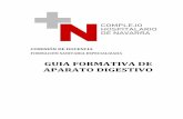 GUIA FORMATIVA DE APARATO DIGESTIVO - CHN