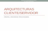 ARQUITECTURAS CLIENTE/SERVIDOR