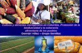 Cultivos y alimentos transgénicos en Colombia, Protección ...