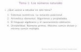 Tema 1: Los numeros naturales - Universidad de Alcalá ...