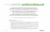 Caracterización del epicarpio de guayaba Psidium guajava L ...