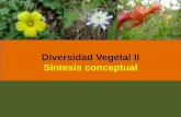 Diversidad Vegetal II Síntesis conceptual