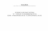 wp-Guía de práctica clínica HERIDAS