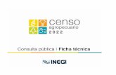 Metodología en Consulta pública del Censo Agropecuario 2022